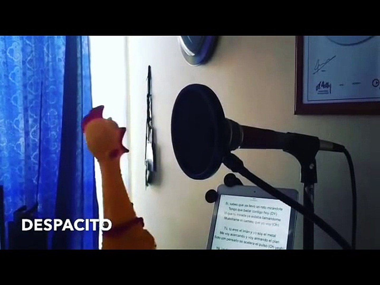 Bağıran Oyuncak Tavukla Despacito Şarkısı - Dailymotion Video