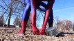 New Thor vs Spiderman - Farting Battle! Fun Superhero Movie in Real Life | Superheroes | Spiderman | Superman | Frozen Elsa | Joker