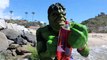 Red Hulk vs Green Hulk - Real Life Superhero Movie! Tropical Island | Superheroes | Spiderman | Superman | Frozen Elsa | Joker