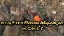 100 కోతులను పోషిస్తున్నాడు : Indian Man Feeding Monkeys for Decades | Oneindia Telugu