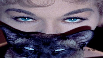 Torino Film Festival launches with "Finding Your Feet"