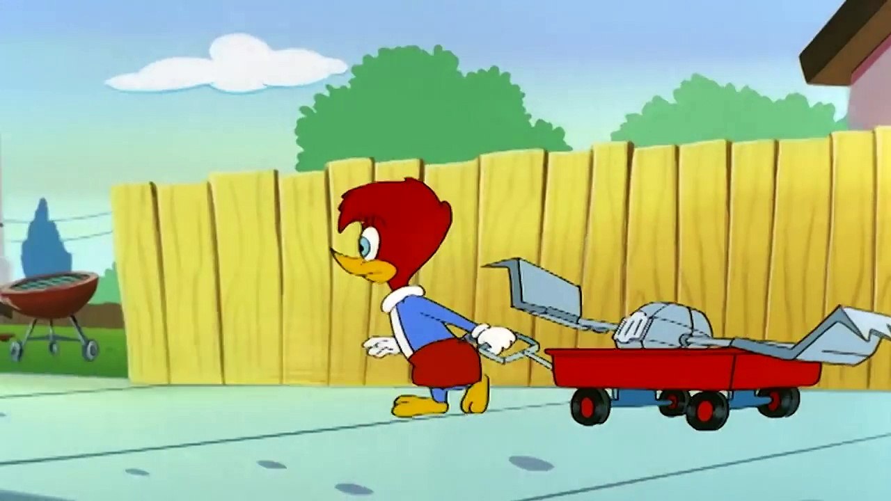 Pica Pau em Português | Ovelha Negra Do Spa | Desenhos Animados