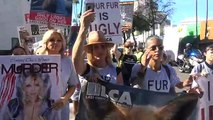 Beverly Hills Has The Prettiest Protesters Marching Through The Streets Pt 2