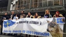 Concentración en defensa del LOBO ante las consejerías del Gobierno del Principado de Asturias