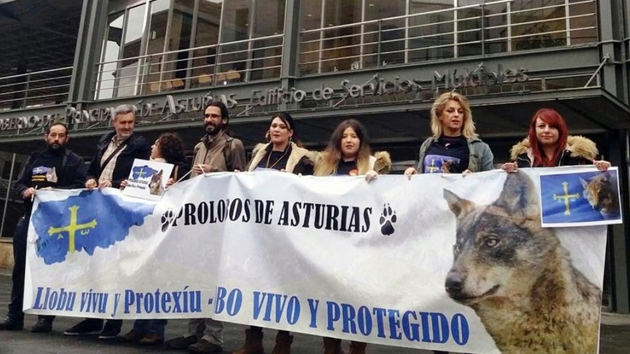 Concentración en defensa del LOBO ante las consejerías del Gobierno del Principado de Asturias