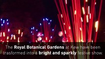 Kew Gardens illuminated by over a million Christmas lights