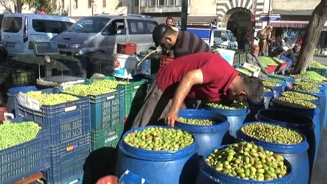 Yağışlar Zeytin Fiyatlarını Artırdı