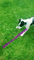 Paula con el perro que entró en confianza - 23 de Noviembre