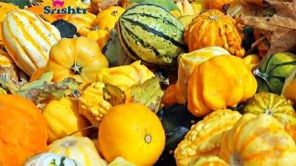 5 winter foods to be healthy and disease free