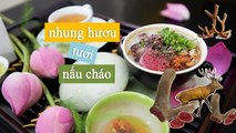 [NhungHuouShop.com] Nhung hươu tươi nấu cháo cực kỳ tốt cho người mới ốm dậy, suy nhược