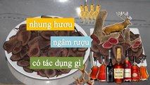 [NhungHuouShop.com] Nhung hươu ngâm rượu có tác dụng gì?