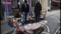 Lüleburgaz'da dev köpekbalığı