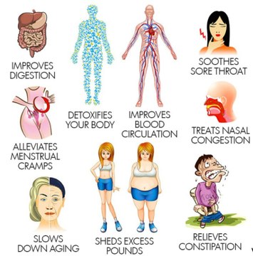 10 Amazing & Incredible Health Benefits of Drinking Warm Water