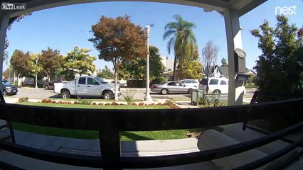 Double Parking Fat Porch Pirate