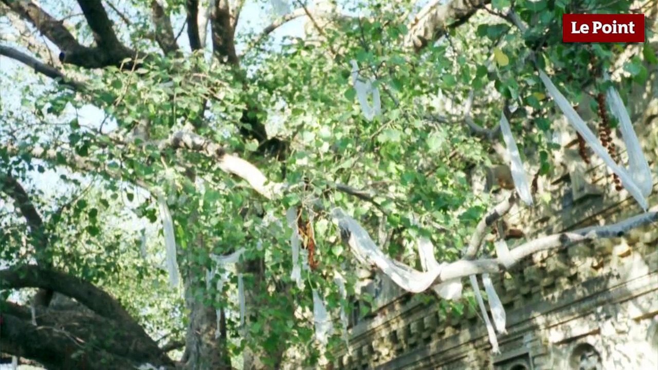 La naissance du Bouddhisme