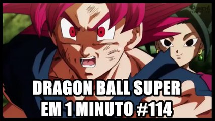 Dragon Ball Super em 1 minuto #114