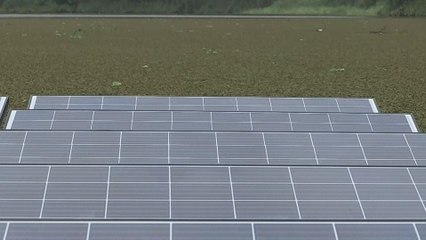 Canal de Panamá le apuesta a los Paneles solares flotantes para ser más verde