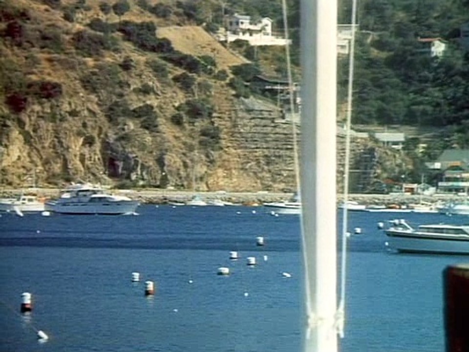 Steve Austin  S01E01