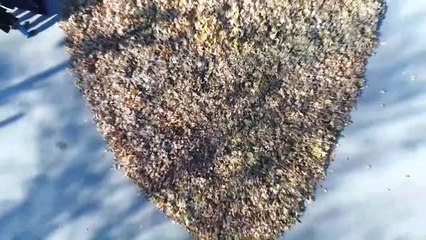 Temizlik İşçilerinden Kadınlara Anlamlı Mesaj