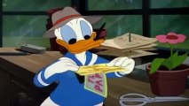 Donald Duck - Chip and dale - Pluto _ Donald Duck Cartoons Best Collection NEW HD