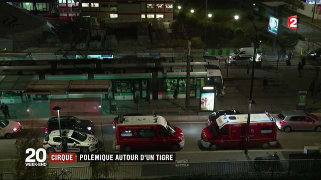 Tigre abattu à Paris : faut-il interdire les animaux dans les cirques ?