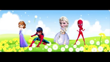 Wrong heads Elsa Masha Spiderman learning colours