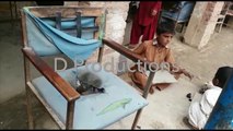 Schools conditions in Balochistan - Danger Productions Network