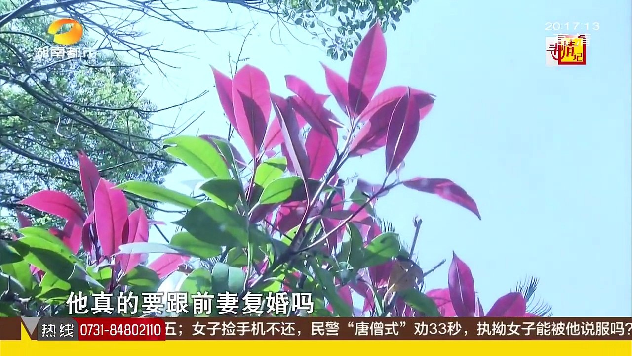 寻情记20170601期 未婚先孕有风险 孤儿芳芳的苦涩恋情
