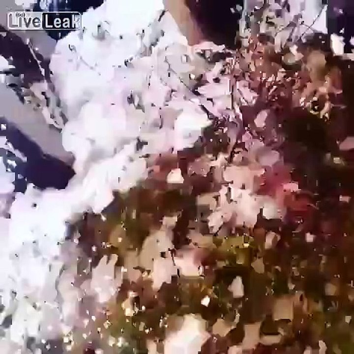 Andrey Meets Angry Electrical Transformer