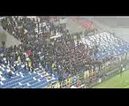 Sassuolo-Verona 0-2. La curva gialloblù resta una delle migliori del nord Italia (1)