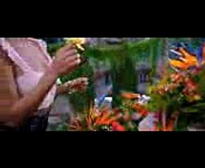 Enamorado - Luis Jara Ft 330am (Video Oficial)