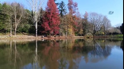 Atatürk Arboretumu Havadan Görüntülendi