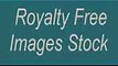 Royalty Free Images Stock-Top 5 Site give free stock images fully royalty free images