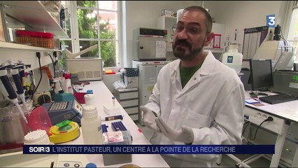 L'Institut Pasteur, un centre à la pointe de la recherche