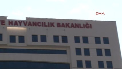 TMO'dan İşten Çıkartılan Taşeron İşçilerden Eylem