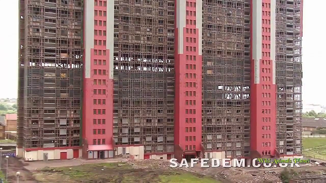 TOP 50 Demolitions Gone Wrong BEST Building Demolition Fails Videos by Dailyvideo 333   2017