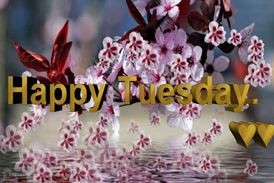 tuesday 3D Pictures video, Images,tuesday 3D Photos for Facebook and WhatsApp