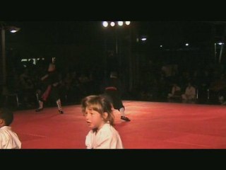 Démonstration St Esteve Ecole Thieu Lam Hong Quyen