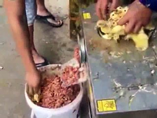 XAY GÀ CON NAM MÔ A DI ĐÀ PHẬT TỘI NGHIỆP QUÁ