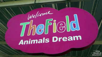 The Field Animals Dream