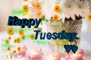 HappyTuesday Blessings 3d wallpaper,happy  Tuesday Phis,Tuesday 3d wallpaper For Whatsapp Graphics