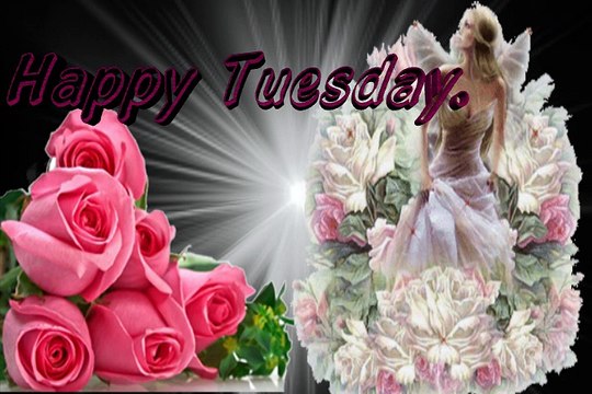 Best Happy Tuesday | Awesome Good Morning Tuesday Blessings Pictures