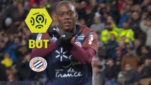 But Jérôme ROUSSILLON (5ème) / Montpellier Hérault SC - LOSC - (3-0) - (MHSC-LOSC) / 2017-18