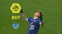But Hyunjun SUK (45ème  3) / ESTAC Troyes - Angers SCO - (3-0) - (ESTAC-SCO) / 2017-18