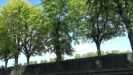 Поездка в осенний Кёльн. Осень в Германии.