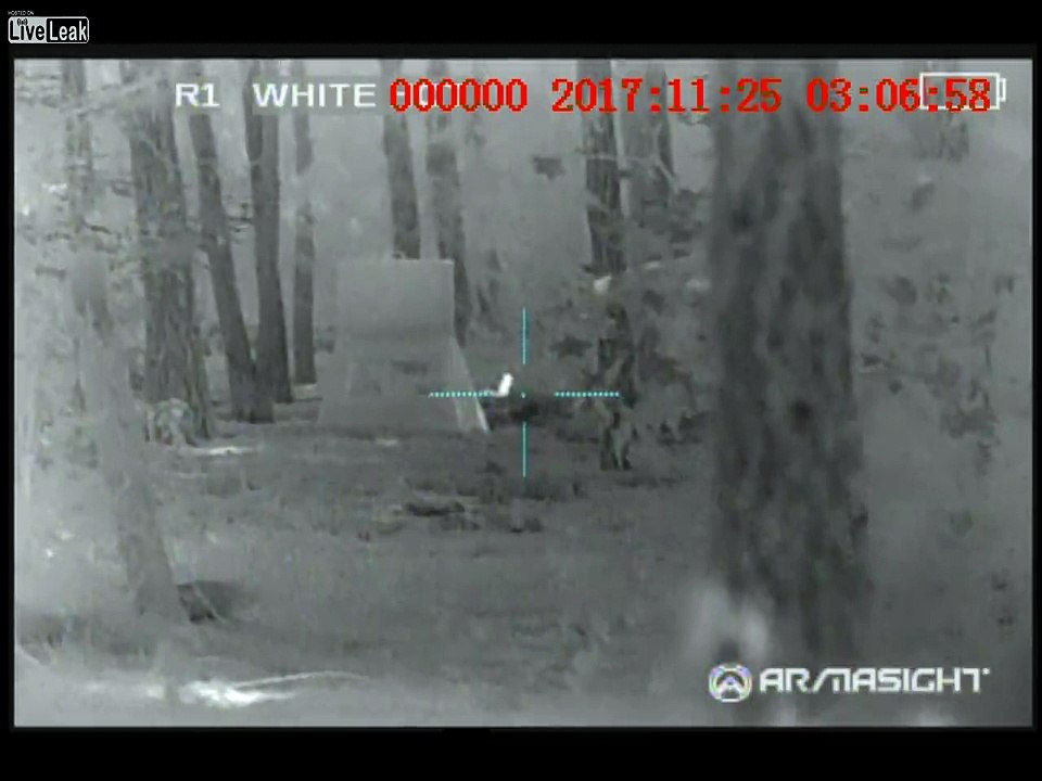 Squirrel Lives To See Another Day