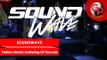 SOUNDWAVE Perform Media Gathering GP Records
