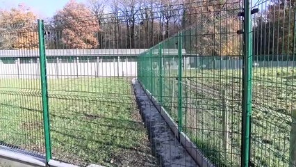 FOCUS/ Bien être animal, à la SPA aussi