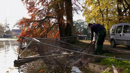 Re: Abgefischt! Kormorane und Fischotter im Jagdfieber (Doku)