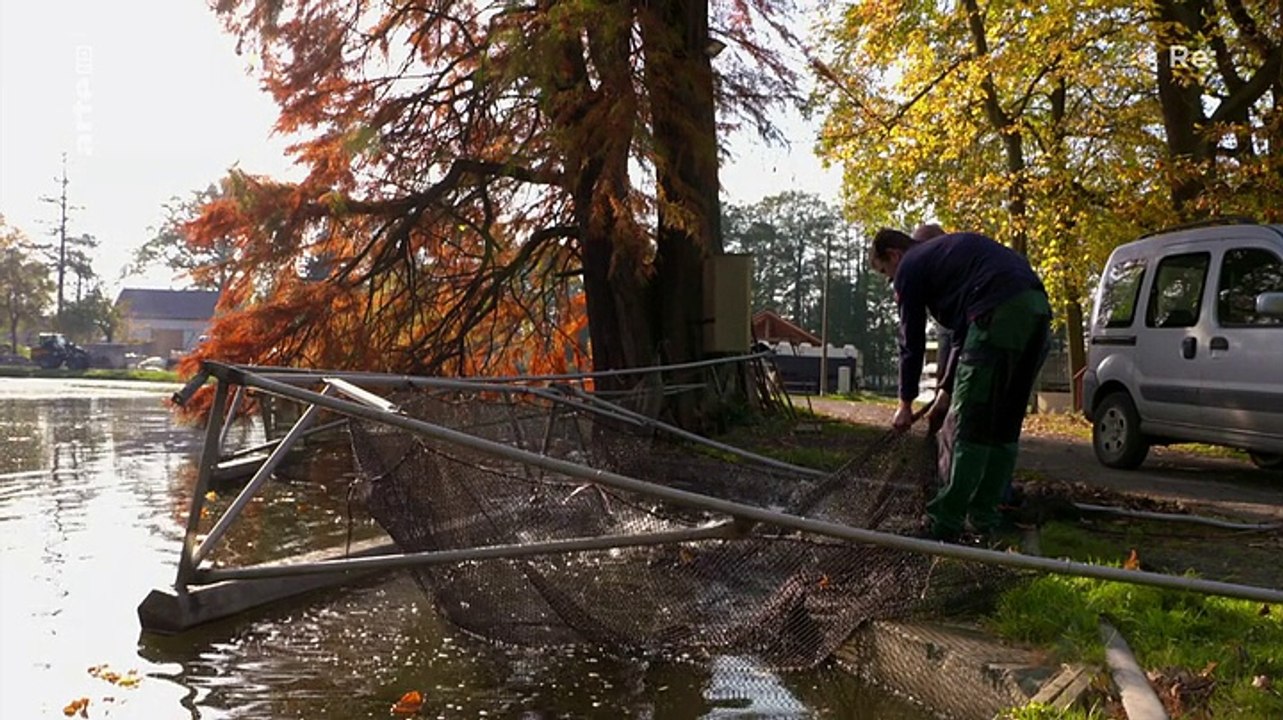 Re: Abgefischt! Kormorane und Fischotter im Jagdfieber (Doku)